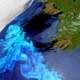 Illustration for article titled The ferocious blooms of Ireland's plankton are visible from space